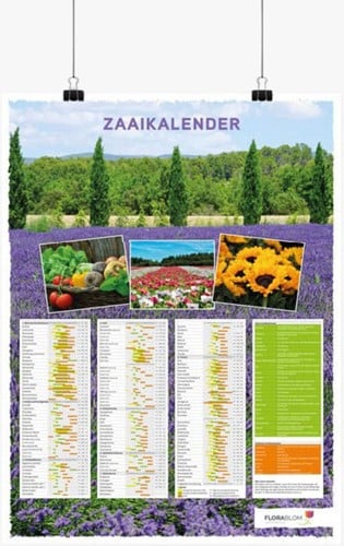 Poster Calendrier des Semis Néerlandais-plié