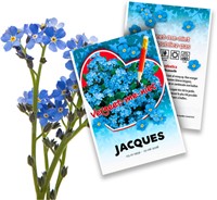 Ne m'oubliez pas - Myosotis Paquets de semences personnalisés - 250 pièces