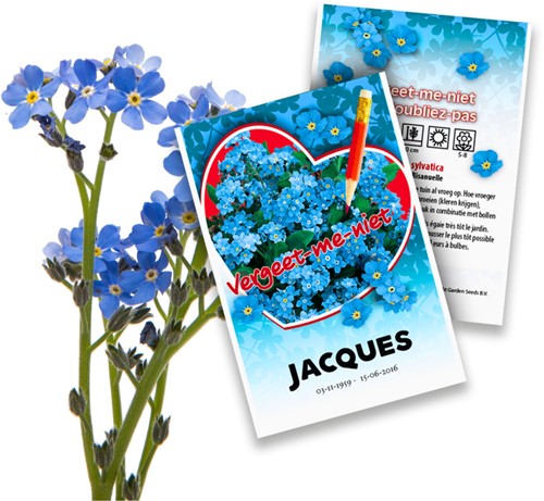 Ne m'oubliez pas - Myosotis Paquets de semences personnalisés - 20 pièces