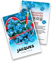 Ne m'oubliez pas - Myosotis Paquets de semences personnalisés - 10.000 pièces-2