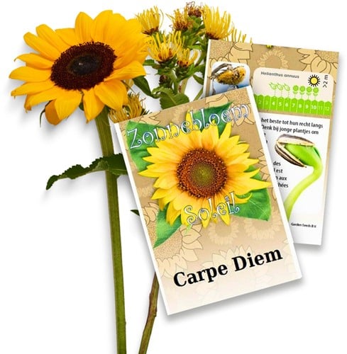 Tournesol Paquets de semences personnalisés - 1.500 pièces