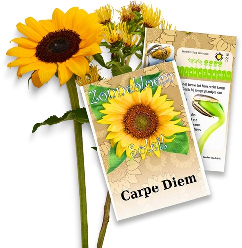 Tournesol Paquets de semences personnalisés - 250 pièces