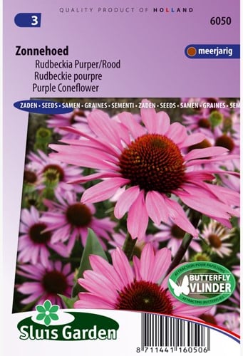 Rudbeckie pourpre - Echinacea purpurea